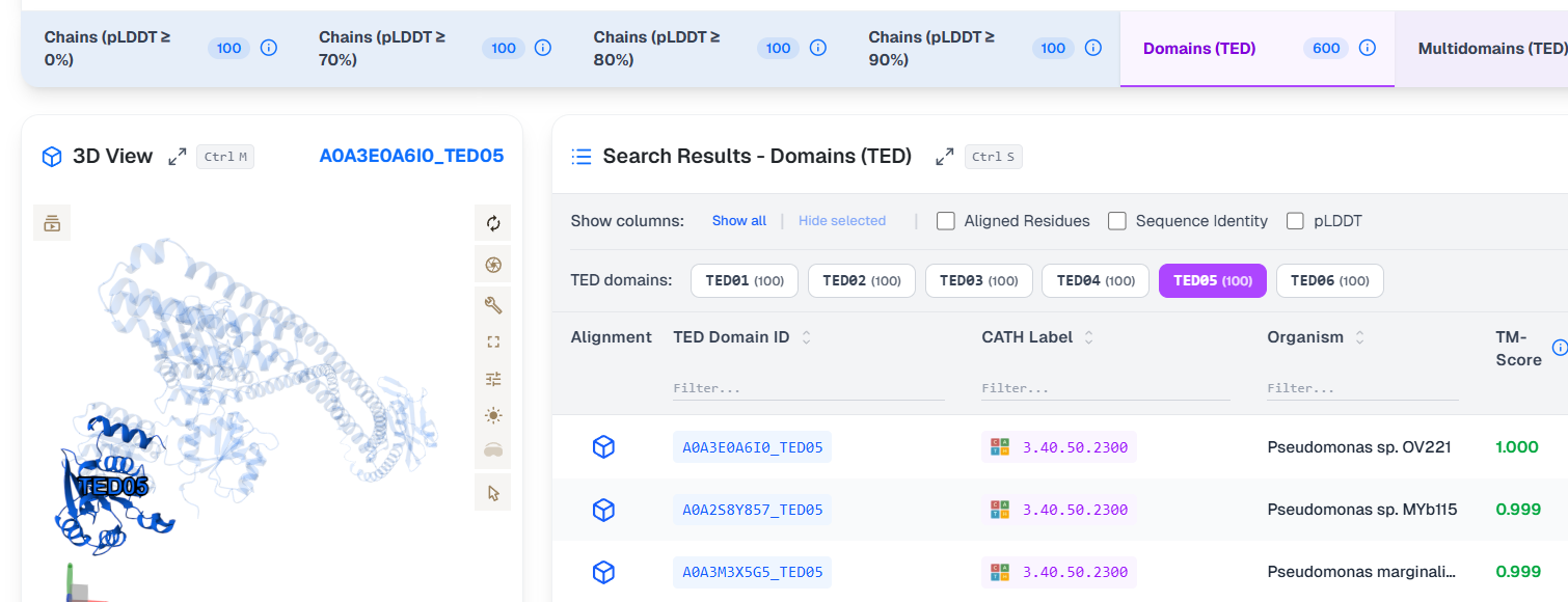 TED domain highlighted in input protein structure